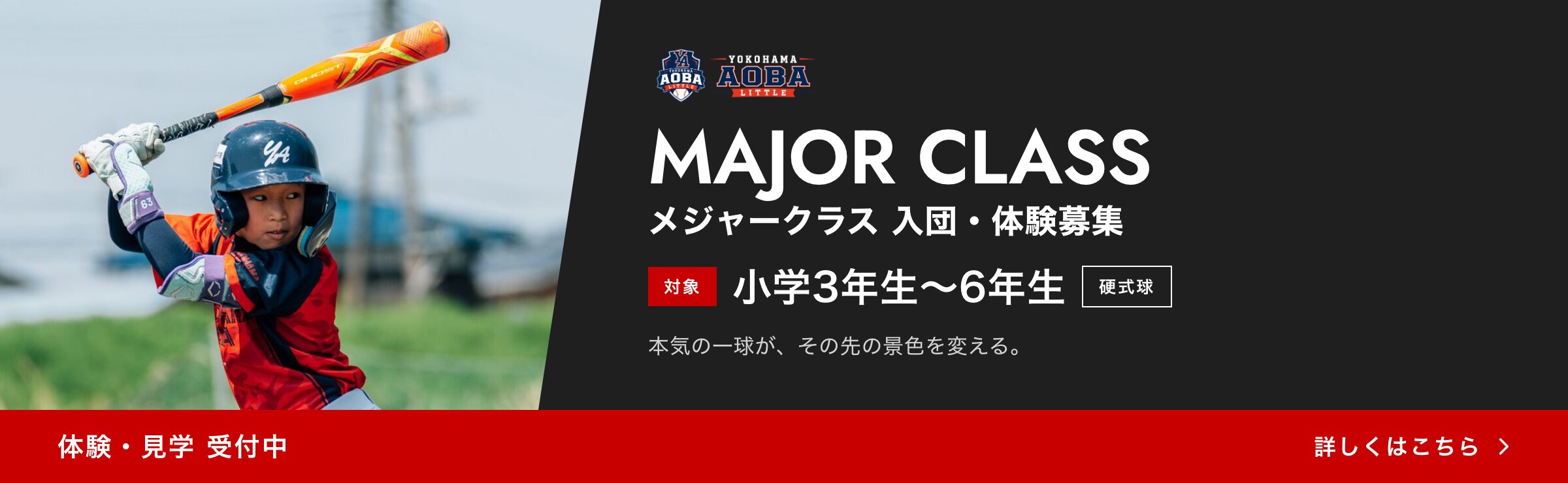 メジャークラス 入団・体験募集（対象：小学3年生〜6年生、硬式球）体験・見学 受付中