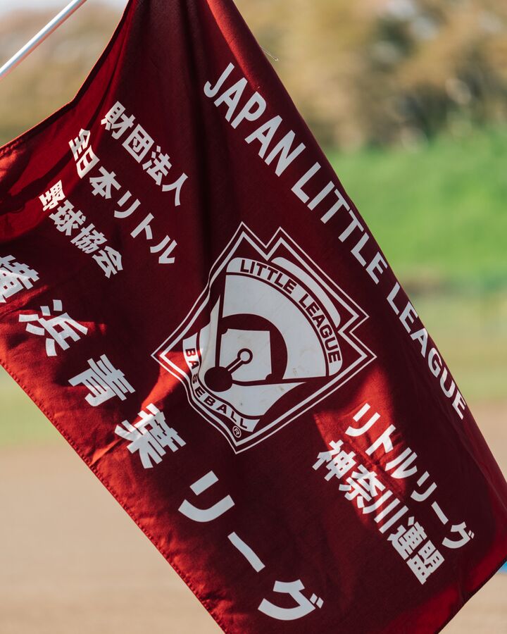 横浜青葉リーグの旗